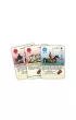 Pax Pamir