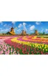 Puzzle 1000 el. Dutch Windmills Among Tulips CASTORLAND C-105540