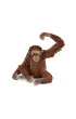 Orangutan samica