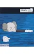 KAWS wer. angielska