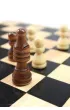 Collection Classique 5w1 Tactic