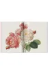 Redoute. Roses wer. angielska