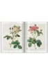 Redoute. Roses wer. angielska