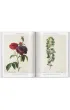 Redoute. Roses wer. angielska