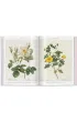 Redoute. Roses wer. angielska