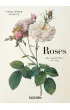 Redoute. Roses wer. angielska