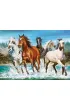 Puzzle 200 el. Call of Nature Castorland