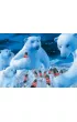 Puzzle 1000 el. Coca-Cola. Nied�wiedzie polarne Schmidt