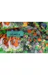 Puzzle 220 el. D�ungla. Ratujmy planet� + ksi��ka Wilga Play