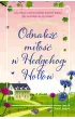Odnaleźć miłość w Hedgehog Hollow – Jessica  Redland – okładka ebook
