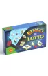 Bingo, Lotto