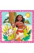 Puzzle 3w1 (20+36+50 el.) Pi�kne kwiaty Trefl