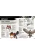 Ksi�ga gry. Dungeons & Dragons
