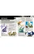 Ksi�ga gry. Dungeons & Dragons