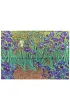 Teczka Paperblanks Van Gogh`s Irises