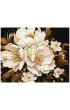 Metallic extra Malowanie po numerach - Bia�a delikatno�� 40x50cm