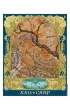 Sacred World Oracle