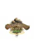 Spirit Island: Inkarnacja natury Portal Games