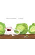 Pomelo ma si� dobrze pod swoim dmuchawcem