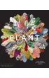 Plant. Exploring the Botanical World wer. angielska