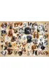 Puzzle 200 el. Collage with Dogs Castorland