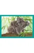 Puzzle 4w1 - SuperColor. Baby Cuddles (12+16+20+24 el.) Clementoni