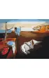 Brushme Malowanie po numerach - Trwa�o�� pami�ci 40x50cm