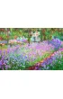 Puzzle 2000 el. Ogr�d Moneta, Claude Monet Eurographics
