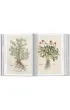 Leonhart Fuchs. The New Herbal