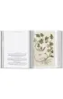 Leonhart Fuchs. The New Herbal