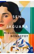 Sen jaguara
