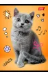 St. Majewski Zeszyt A5 Mix dziewcz�cy dwie linie 16 kartek