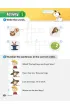 Magic Adventures Level 1. Cz�� 4. Bad Frogs + CD