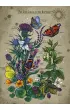 Puzzle 1000 el. Cykl �ycia motyla Ravensburger