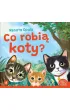 Co robi� koty?