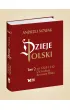 Dzieje Polski. Tom 2. Od rozbicia do nowej Polski