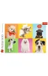 Puzzle 500 el. Psy Trefl