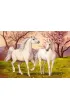 Puzzle 1000 el. Unicorn Love Castorland