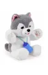 Piesek Husky Dumel