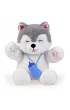 Piesek Husky Dumel