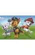 Puzzle 2x20 el. SuperColor. Paw Patrol Clementoni
