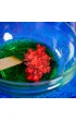 Lisciani Crazy Science Slime Kameleon 304-PL89246