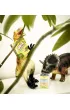 Quiz o Dinozaurach ALEX