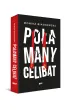 Po�amany celibat