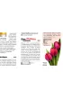 Amsterdam map&guide PL laminat 2024