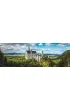 Puzzle 1000 el. Panorama - The Neuschwanstein Castle Clementoni