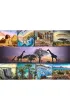 Puzzle 1000 el. Kola� - Afryka Trefl