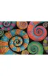 Puzzle 500 el. Color Boom Curly Tails Clementoni