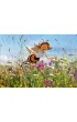 Puzzle 99 el. Moment - ��ka Ravensburger