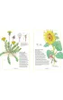 Ilustrowany inwentarz kwiat�w